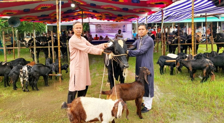 শোক দিবসের কাঙালিভোজে ২০টি গরু দিলেন দেবিদ্বার উপজেলা চেয়ারম্যান